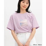 【ハニーズ】トップス Tシャツ 半袖Tシャツ | Honeys | 詳細画像9 