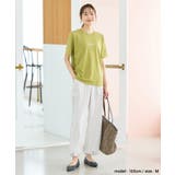 トップス Tシャツ 半袖Tシャツ | Honeys | 詳細画像6 