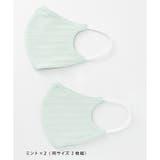 ミント×2 | マスク 布製 洗える | Honeys