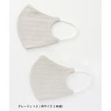 グレージュ×2 | マスク 布製 洗える | Honeys