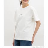 トップス Tシャツ 半袖Tシャツ | Honeys | 詳細画像4 