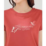 トップス Tシャツ 半袖Tシャツ | Honeys | 詳細画像15 