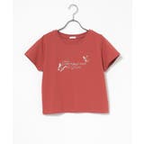 トップス Tシャツ 半袖Tシャツ | Honeys | 詳細画像16 