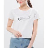 トップス Tシャツ 半袖Tシャツ | Honeys | 詳細画像5 