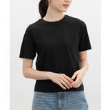 ブラック | トップス Tシャツ 半袖Tシャツ | Honeys