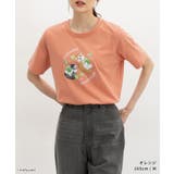 トップス Tシャツ 半袖Tシャツ | Honeys | 詳細画像8