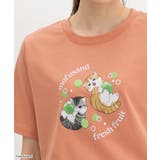 オレンジ | トップス Tシャツ 半袖Tシャツ | Honeys
