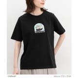 トップス Tシャツ 半袖Tシャツ | Honeys | 詳細画像5 