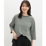 グリーンボーダー | トップス Tシャツ 7分袖Tシャツ | Honeys