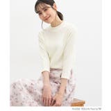 トップス Tシャツ 7分袖Tシャツ | Honeys | 詳細画像12