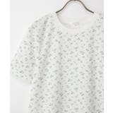 トップス Tシャツ 半袖Tシャツ | Honeys | 詳細画像12 