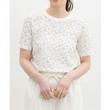 オフ×ピンク | トップス Tシャツ 半袖Tシャツ | Honeys