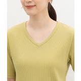 トップス Tシャツ 半袖Tシャツ | Honeys | 詳細画像14