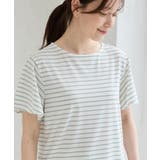 トップス Tシャツ 半袖Tシャツ | Honeys | 詳細画像13 