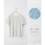 トップス Tシャツ 半袖Tシャツ | Honeys | 詳細画像16 
