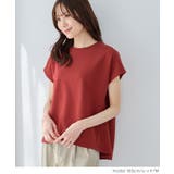 トップス Tシャツ 半袖Tシャツ | Honeys | 詳細画像9 