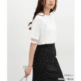 トップス カットソー 半袖 | Honeys | 詳細画像4 