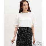 トップス カットソー 半袖 | Honeys | 詳細画像5 