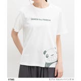 トップス Tシャツ カットソー | Honeys | 詳細画像4 