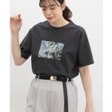 トップス Tシャツ 半袖Tシャツ | Honeys | 詳細画像4 