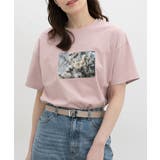 ピンク | トップス Tシャツ 半袖Tシャツ | Honeys