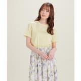 トップス Tシャツ 半袖Tシャツ | Honeys | 詳細画像13
