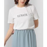トップス Tシャツ 半袖Tシャツ | Honeys | 詳細画像5