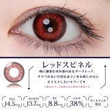 カラコン エティアレオーヴ ワンデー【1箱10枚入】度あり | モアコンタクト | 詳細画像11