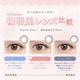 カラコン フェリアモ ワンデー【1箱10枚入】度あり | モアコンタクト | 詳細画像6