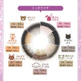 カラコン フルーリー ワンデー | モアコンタクト | 詳細画像13 