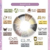 カラコン フルーリー ワンデー | モアコンタクト | 詳細画像14 