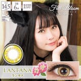 ランタナ | カラコン パーフェクトシリーズワンデー フルブルーム | モアコンタクト