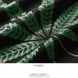 ロンTACE FLAG メンズ | 本格派大人のB系  | 詳細画像11 