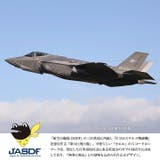 ピンバッチ自衛隊 グッズ 第301飛行隊 | 本格派大人のB系 | 詳細画像4