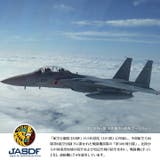 ステッカー自衛隊 グッズ 第306飛行隊 | 本格派大人のB系  | 詳細画像4 