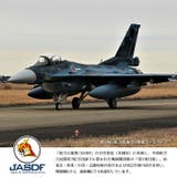 ワッペン自衛隊 グッズ 第3飛行隊 | 本格派大人のB系 | 詳細画像3