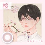 サクラ | 美少年画 カラコン 1ヶ月 | アイトルテ