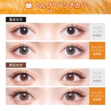 フルーリーワンデー カラコン ワンデー | アイトルテ | 詳細画像11 