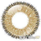 木ノ葉丸UV | アシストシュシュ HANABIワンデーUV ( | アイトルテ