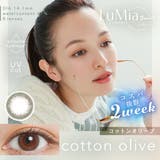 コットンオリーブ | ルミアコンフォート2ウィークサークル カラコン 2week | アイトルテ