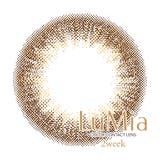 ヌーディーブラウン | ルミア 2week UV | アイトルテ