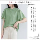 涼し気 薄手 楊柳シフォン | ica | 詳細画像2 