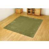 GN | 洗えるラグ 無地 『イーズ』約220×320cm | IKEHIKO