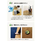 洗えるラグ 無地 『イーズ』約220×320cm | IKEHIKO | 詳細画像4 