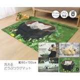 デジタルプリント ウォッシャブルラグ 約90×130cm | IKEHIKO | 詳細画像1 