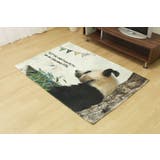 デジタルプリント ウォッシャブルラグ 約90×130cm | IKEHIKO | 詳細画像5 