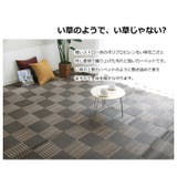 洗えるポリプロピレンカーペット「ウィード」174×174cm | IKEHIKO | 詳細画像2
