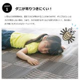洗えるポリプロピレンカーペット「ウィード」174×174cm | IKEHIKO | 詳細画像3