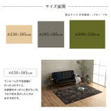 制菌加工 シャギー調 ラグ カーペット ルフォン 200×250cm | IKEHIKO | 詳細画像8