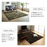 制菌加工 シャギー調 ラグ カーペット ルフォン 200×250cm | IKEHIKO | 詳細画像9